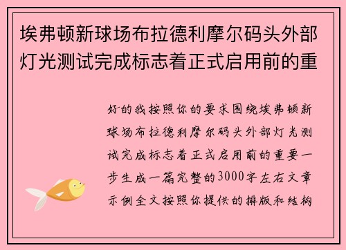 埃弗顿新球场布拉德利摩尔码头外部灯光测试完成标志着正式启用前的重要一步